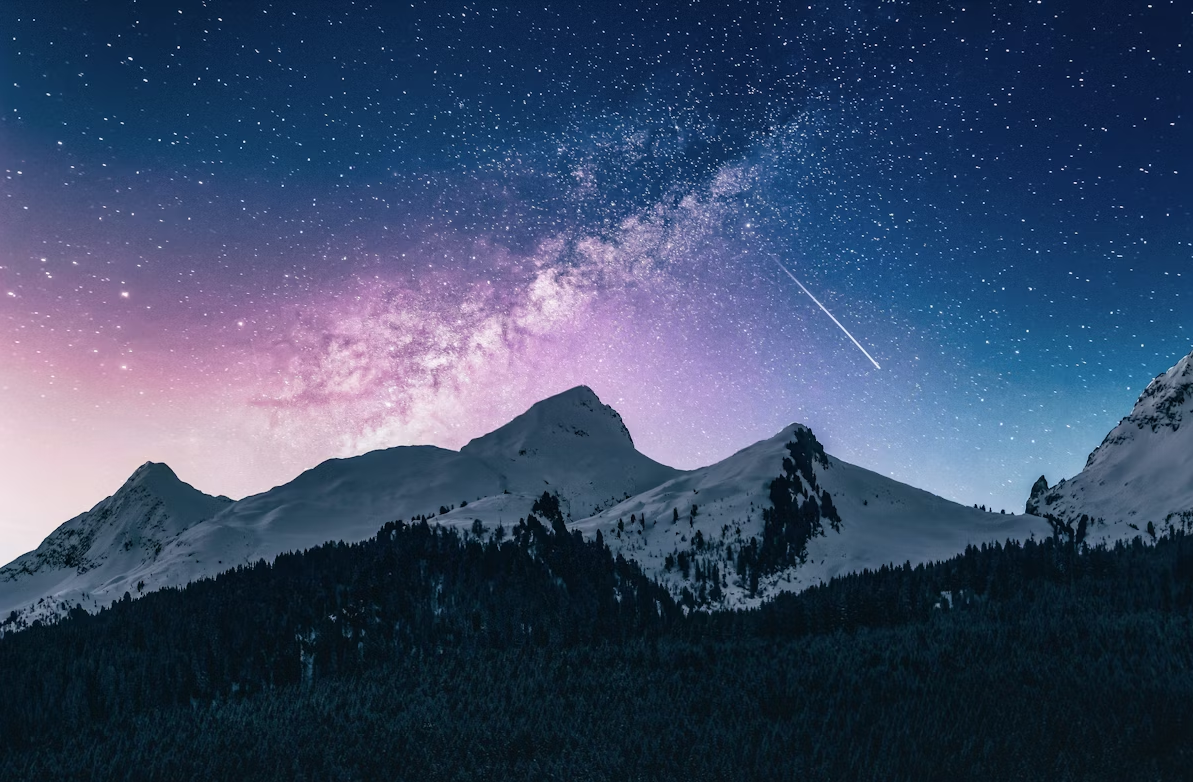 北方森林夜景